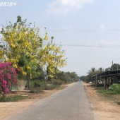 Gần 3 công đất vườn hơn 20m mặt tiền 360TR/SÀO Châu Thành - Tây Ninh